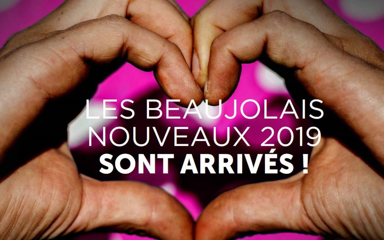 Beaujolais Nouveau 2019 > de bons commentaires par le magazine Burgundy Report