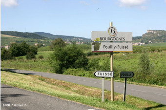 Pouilly-Fuissé : Les futurs 1er crus encartés !