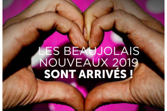 Beaujolais Nouveau 2019 / Good comments by Burgundy Report