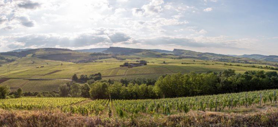 Mâcon Fuissé - Vers Chânes - Sébastien Giroux