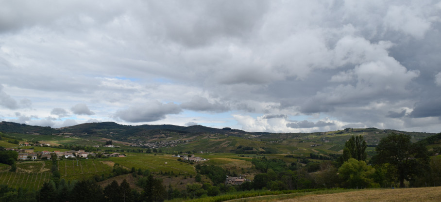 Juliénas - Vieilles Vignes - Domaine des Terres Brunes