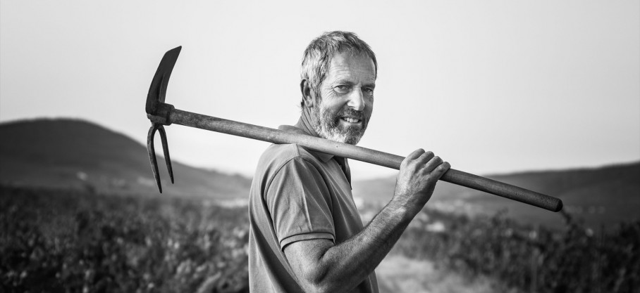 Frédéric Sornin Régnié-Durette, Artisan-vigneron de Terroirs Originels