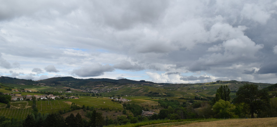 Fleurie - Vieilles Vignes - Domaine des Terres Brunes