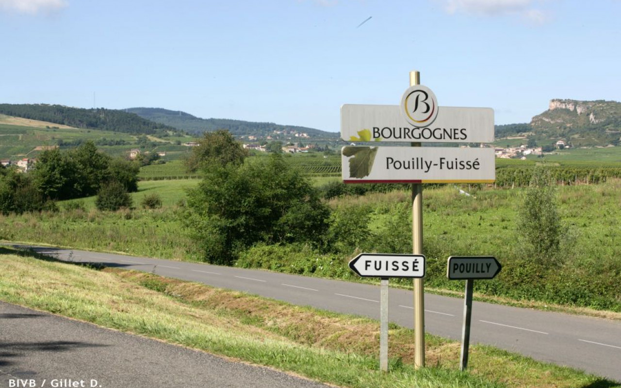 Pouilly-Fuissé : Les futurs 1er crus encartés !