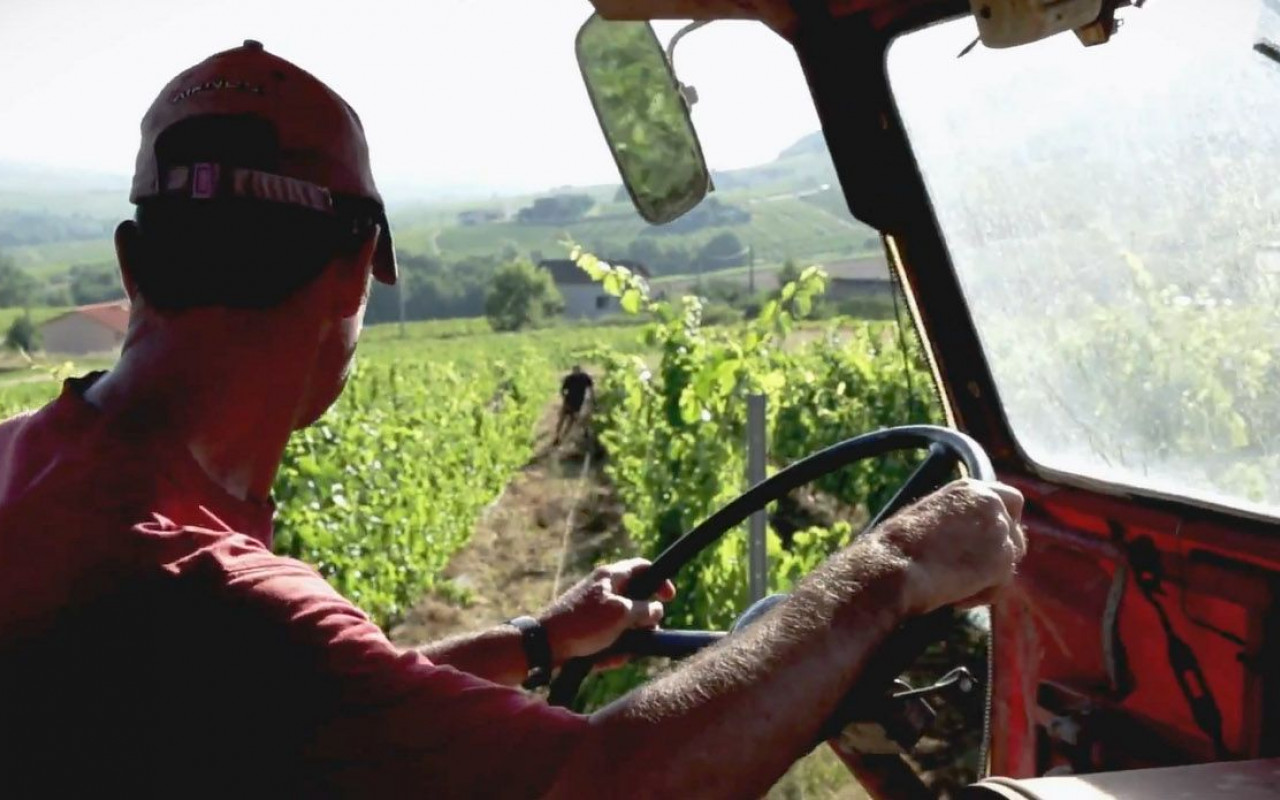 Le BEAUJOLAIS comme vous ne l’avez jamais vu