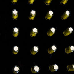 Beaujolais Tasting 2017 Vintage