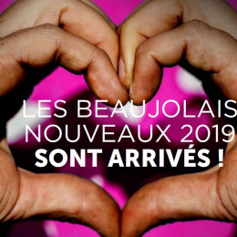 Beaujolais Nouveau 2019 / Good comments by Burgundy Report