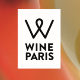 Vinovision + Vinisud = WINEPARIS