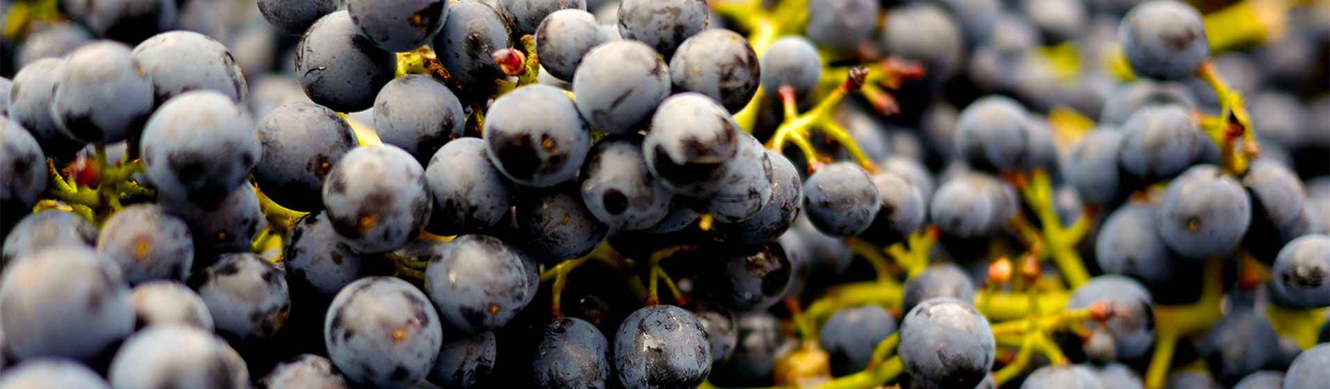 La charte d’engagement de Terroirs Originels