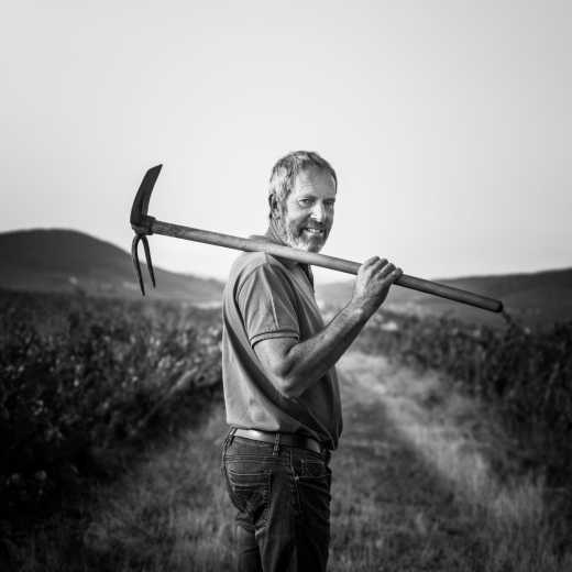 Frédéric Sornin - Régnié-Durette, Artisan-vigneron de Terroirs Originels