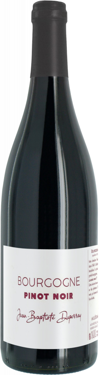 Red Burgundy - Pinot Noir - Jean-Baptiste Duperray