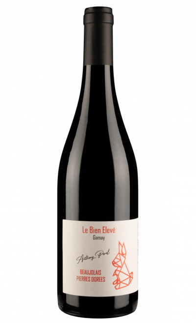 Beaujolais Pierres Dorées Bio - Le Bien Elevé - Anthony Perol - Terroirs Originels