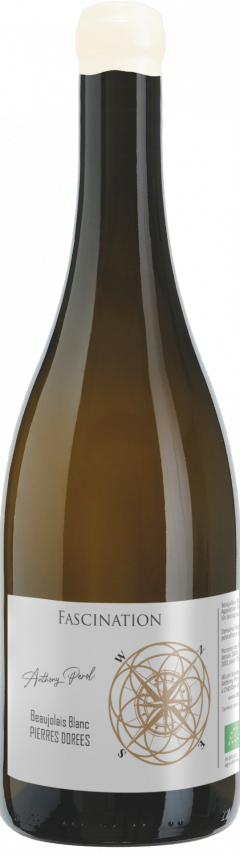 White Beaujolais  Pierres Dorées Bio - Fascination - Anthony Perol - Terroirs Originels